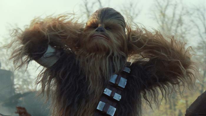 Star Wars': Chewbacca é personagem mais pesquisado por brasileiros no  último ano