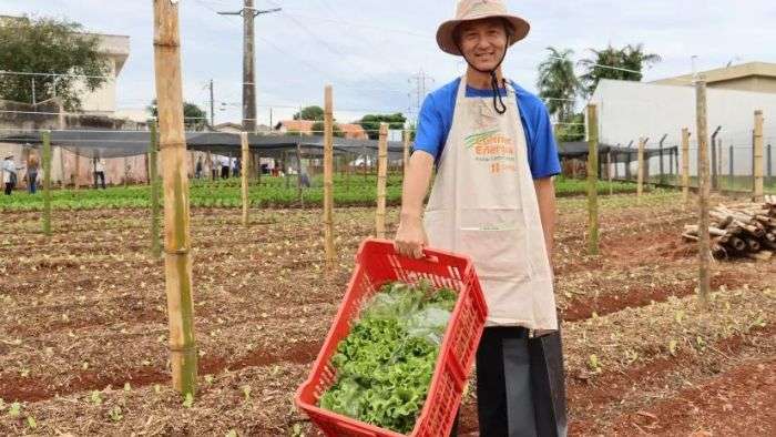 Zona Leste De Londrina Ganha Horta Comunitária Em área Sob Linha De Alta Tensão