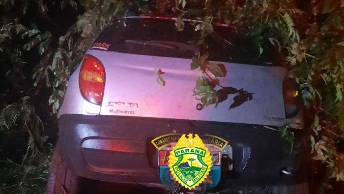 Dois Homens Ficam Feridos Após Carro Colidir Contra árvore Na Pr 218 Em São Sebastião Da Amoreira 7313