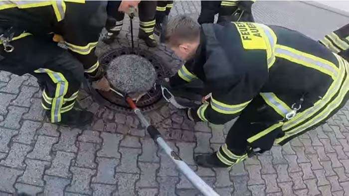 Alemanha: Bombeiros salvam rato preso em bueiro, mas bicho morde um deles