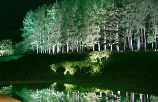 Divulgação - Jardim do Instituto Moreira Salles, no Rio de Janeiro: raios de luz que ressaltam o verde do local