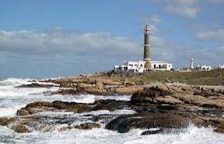 Reprodução - As ilhas de Cabo Polônio servem de morada para lobos marinhos