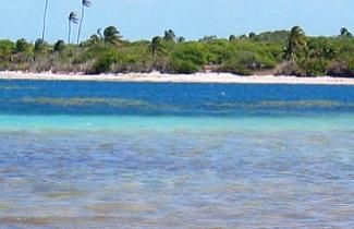 Reprodução - Praia de Jericoacoara