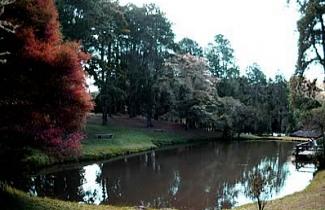 camposdojordão.com.br - Lago no Horto Florestal