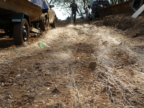 Divulgação/Polícia Ambiental