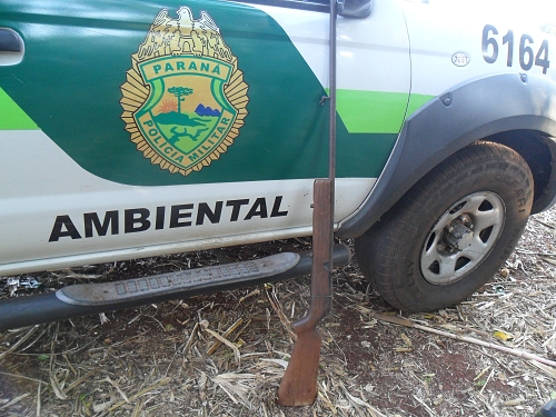 Divulgação/Polícia Ambiental