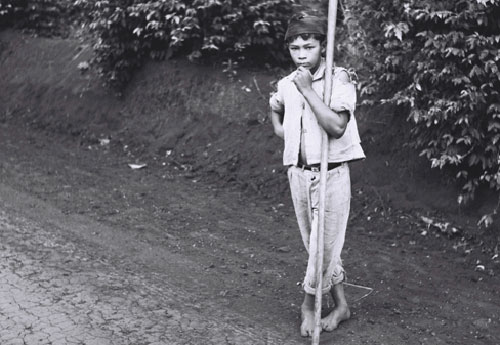 O rapaz que intrigava Kaiser com seu olhar. Arredores de Londrina (1967)