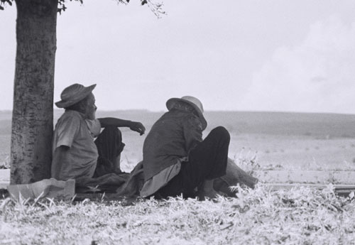 Os dois homens com olhar de desesperança ao horizonte, nos arredores de Cambé (1967)