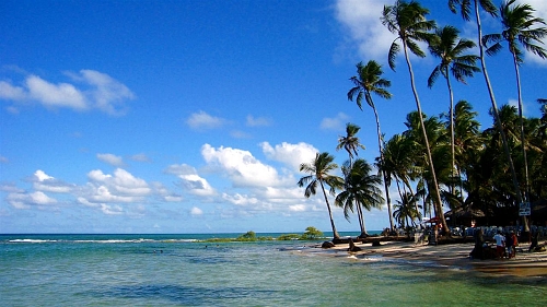 Reprodução - Praia dos Carneiros, em Tamandaré (PE)