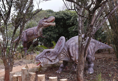 Reprodução/Foz do Iguaçu Park Show