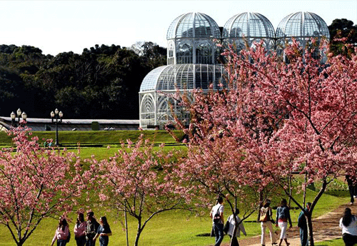 Reprodução/Guia Turismo Curitiba