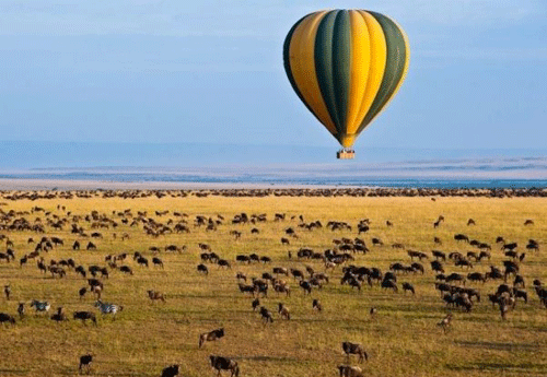 Divulgação/Mara Ballooning