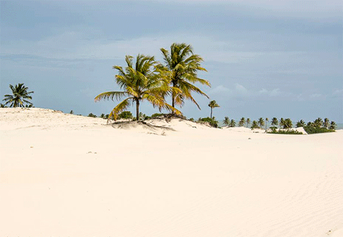 Divulgação/Ricardo Jr/Guia Viagens BR