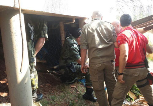 Divulgação/Polícia Ambiental