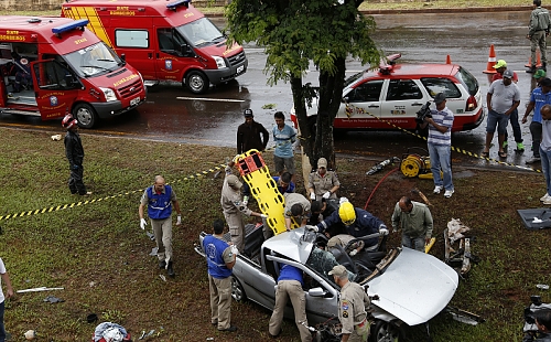 Crédito: Lis Sayuri/Folha de Londrina